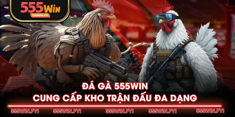 Đá Gà 555WIN cung cấp kho trận đấu đa dạng