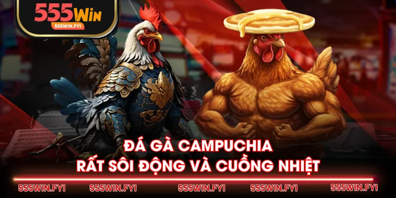Đá gà Campuchia rất sôi động và cuồng nhiệt